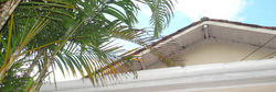 banner_5