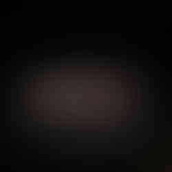 古埃及文明大展埃及博物館珍藏