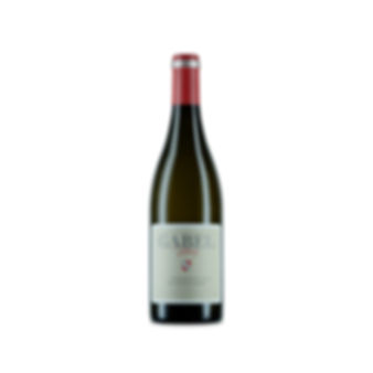 BLAUFRÄNKISCH HELD 2022 // GABEL // 0,75l