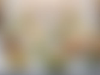 Best 8 Wholesale Salad Bowls for Large-Scale Catering Services