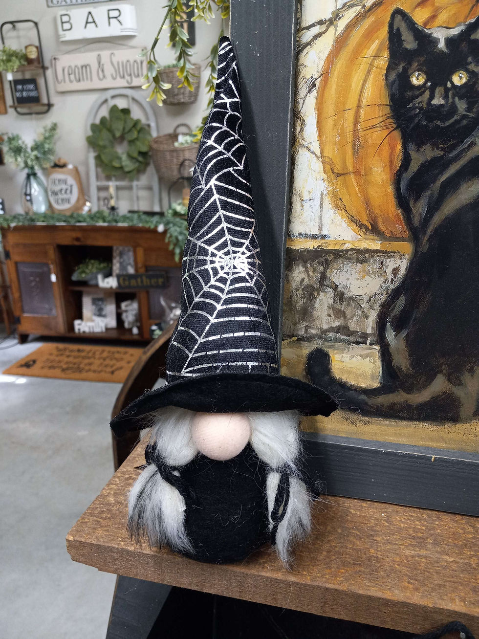 Spider Web Gnome