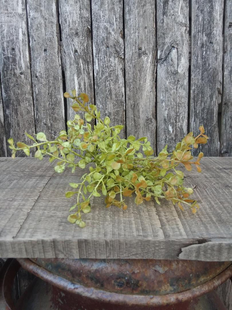 Sm. Baby Grass Pick