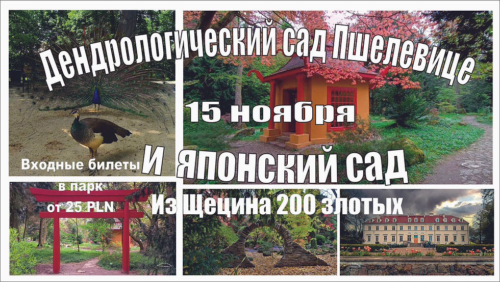Дендрологический сад Пшелевице и японский сад 15 ноября 2025 г.