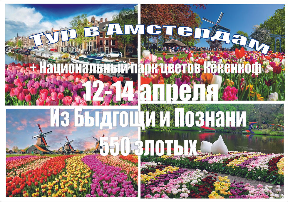 Быдгощ, Познань -Амстердам 12-14 апреля 2024 г.