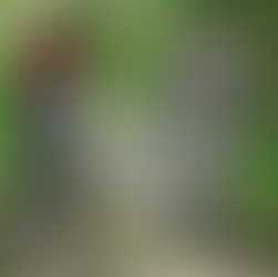 Circolo Aziendale Ravone: cicloturismo a Bologna, tre domeniche in bicicletta...gli appuntamenti di ottobre