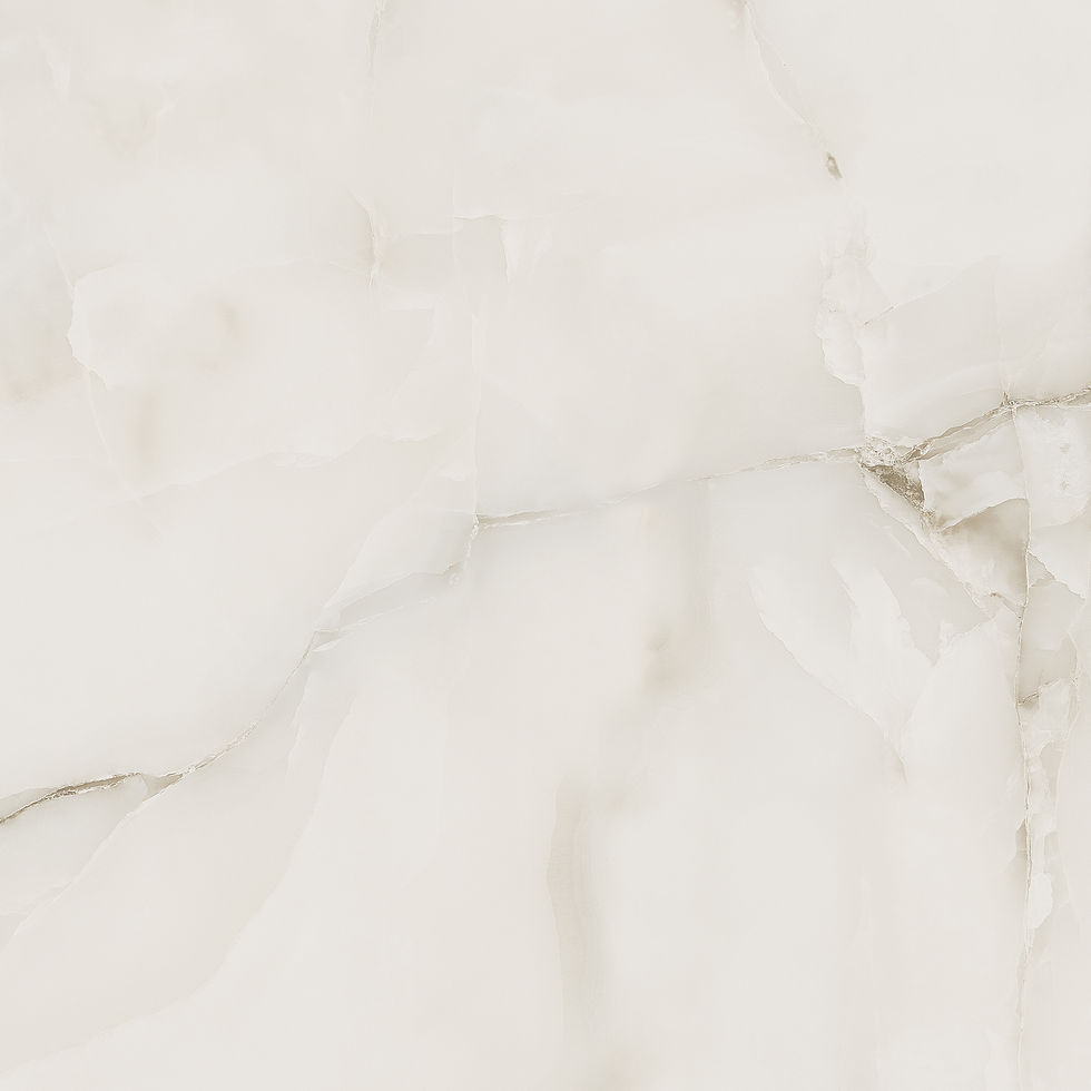 ONICE GRIGIO 600X600 F6.jpg