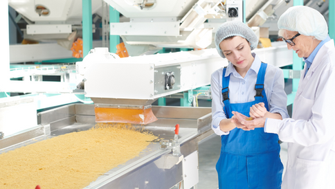 Crescita e specializzazione: In-Service avanza a Reggio Emilia nei settori dell’industria alimentare e della ceramica