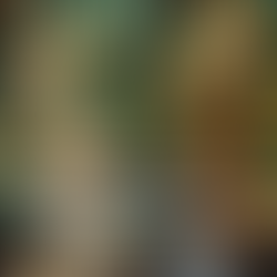 Circolo dipendenti della Regione Emilia Romagna: mercatino di Natale solidale martedì 2 dicembre dalle ore 10 alle 15 a Bologna