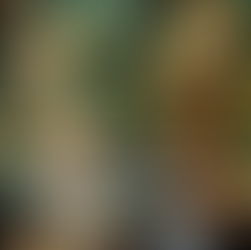 Circolo dipendenti della Regione Emilia Romagna: mercatino di Natale solidale martedì 2 dicembre dalle ore 10 alle 15 a Bologna