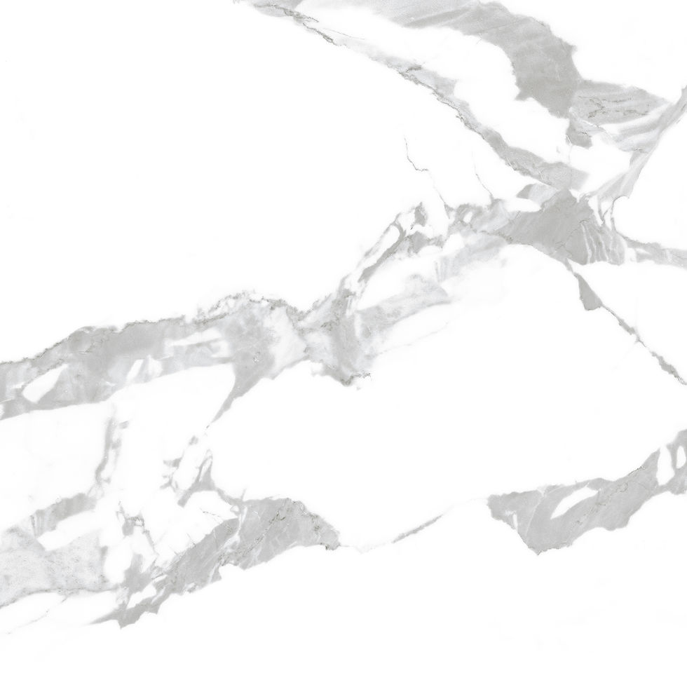 ELITE RENOIR 600X600 F8.jpg