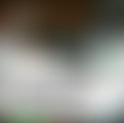 Fitel Emilia-Romagna dà il benvenuto all’Associazione The Pavignam Fest Aps