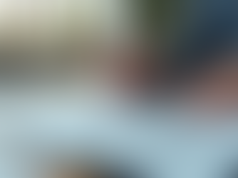 The Popularity of Online Custom Home Designs