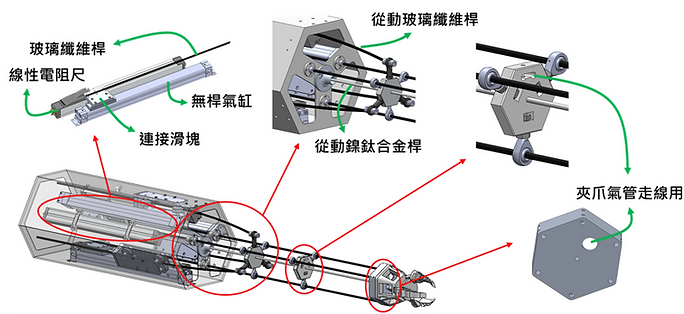饒姓手臂2.png