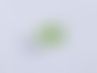 Importance of Certificate Of Compliance for Import of Consignments (PTA NOC/PTA COC)