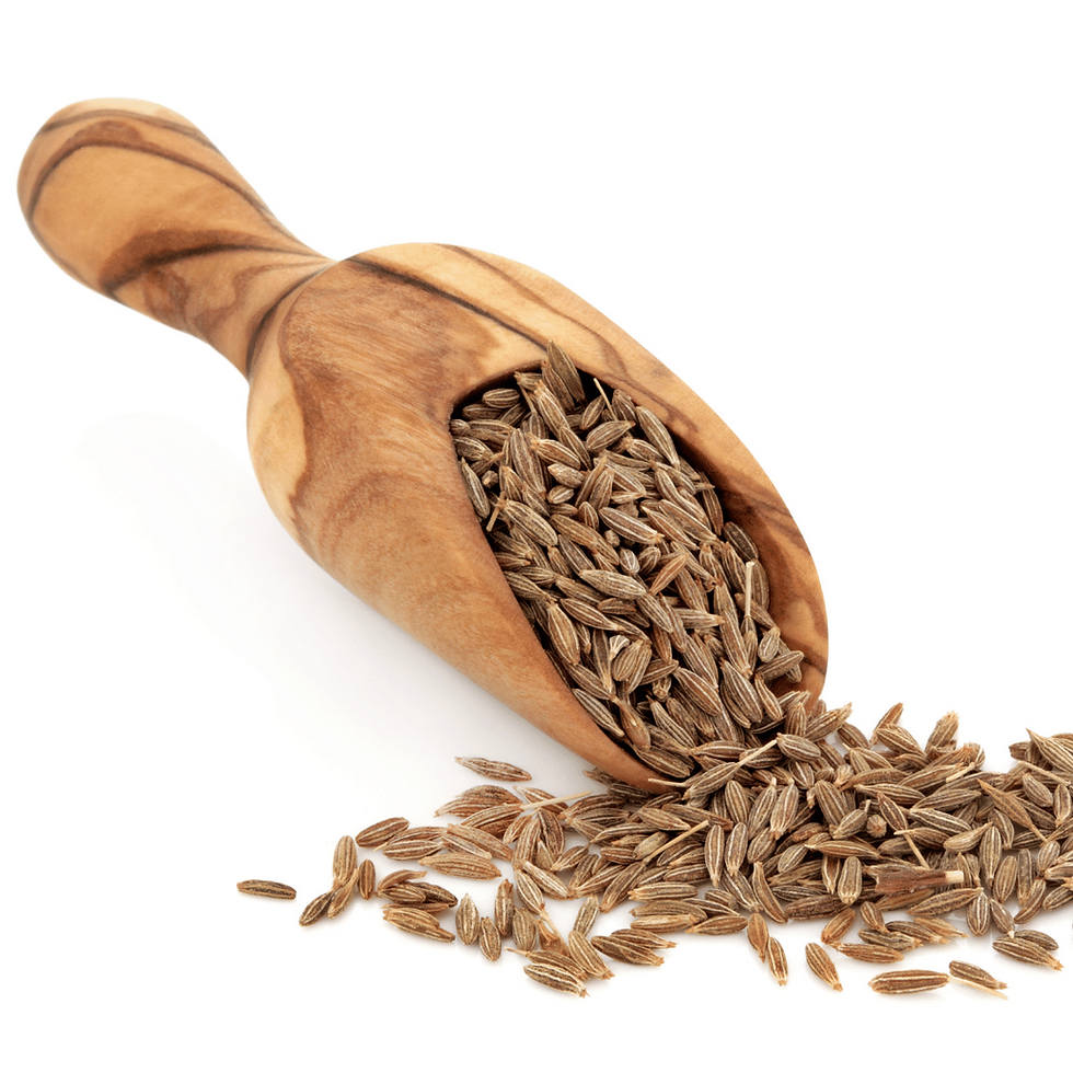 Caraway Seed 葛縷子