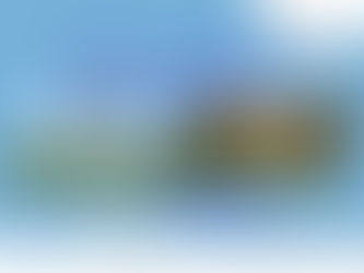 Is It Feasible to Monitor Air Quality Using an Electronic Nose with Drones?