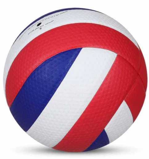 Vayu FIVB Standard Pro Volleyball