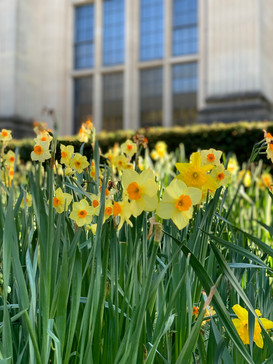 University of Bristol