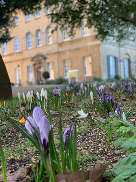 University of Bristol