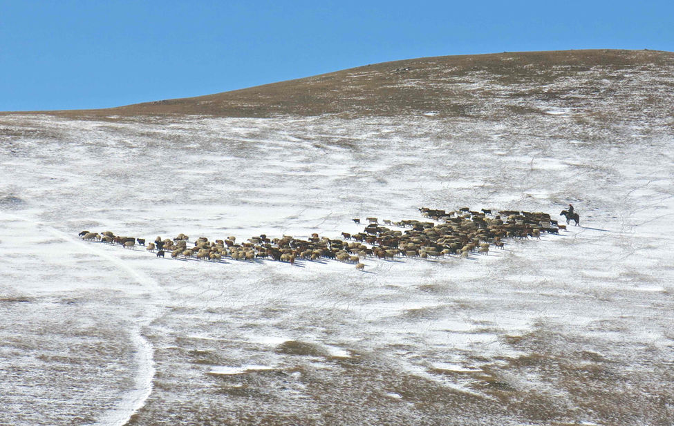 Photograph by Daniel Miller