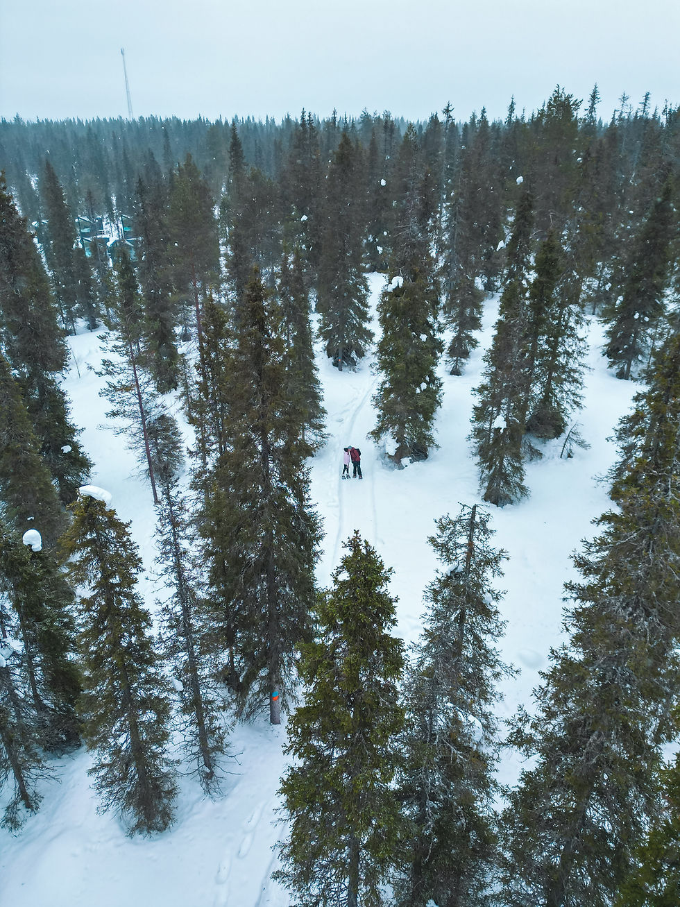 Snowshoeing durch den Schnee in Ruka Kuusama aus der Vogelperspektive