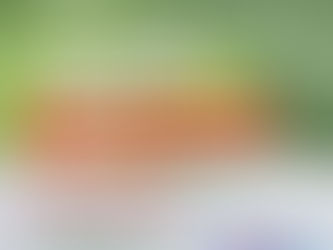 Servidor(a), saiba como ficará o reajuste salarial.