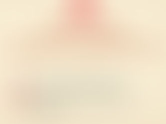 Debate Sobre Reforma Administrativa