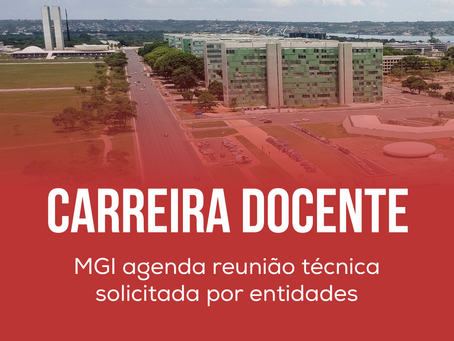             Carreira Docente 