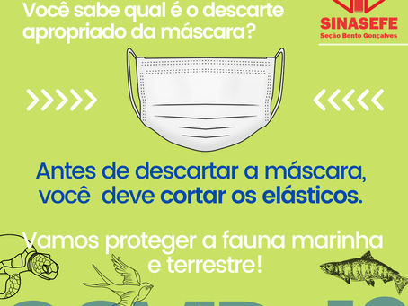 Campanha Elastic Cut