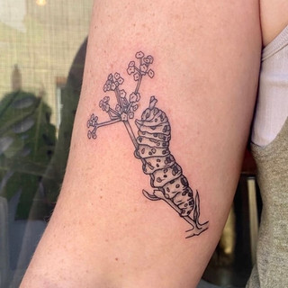 philly tattoo / illustrative blackwork tattoo / bug tattoo
