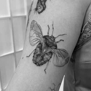 fine line single needle tattoo of beetle