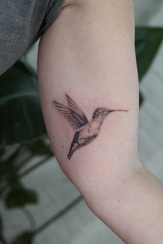 fine line single needle micro realism tattoo hummingbird black and grey philly