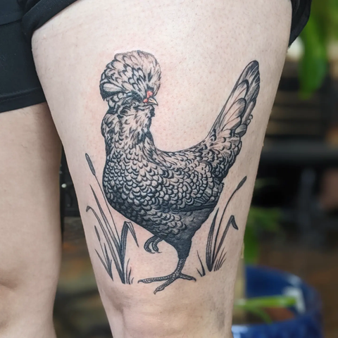 philly tattoo / illustrative tattoo / rooster tattoo