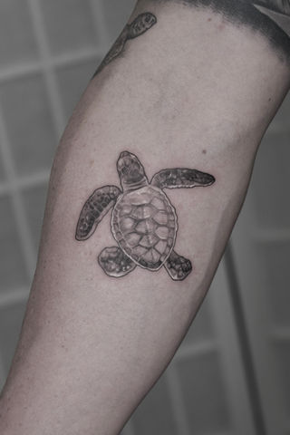 fine line single needle tattoo of turtle