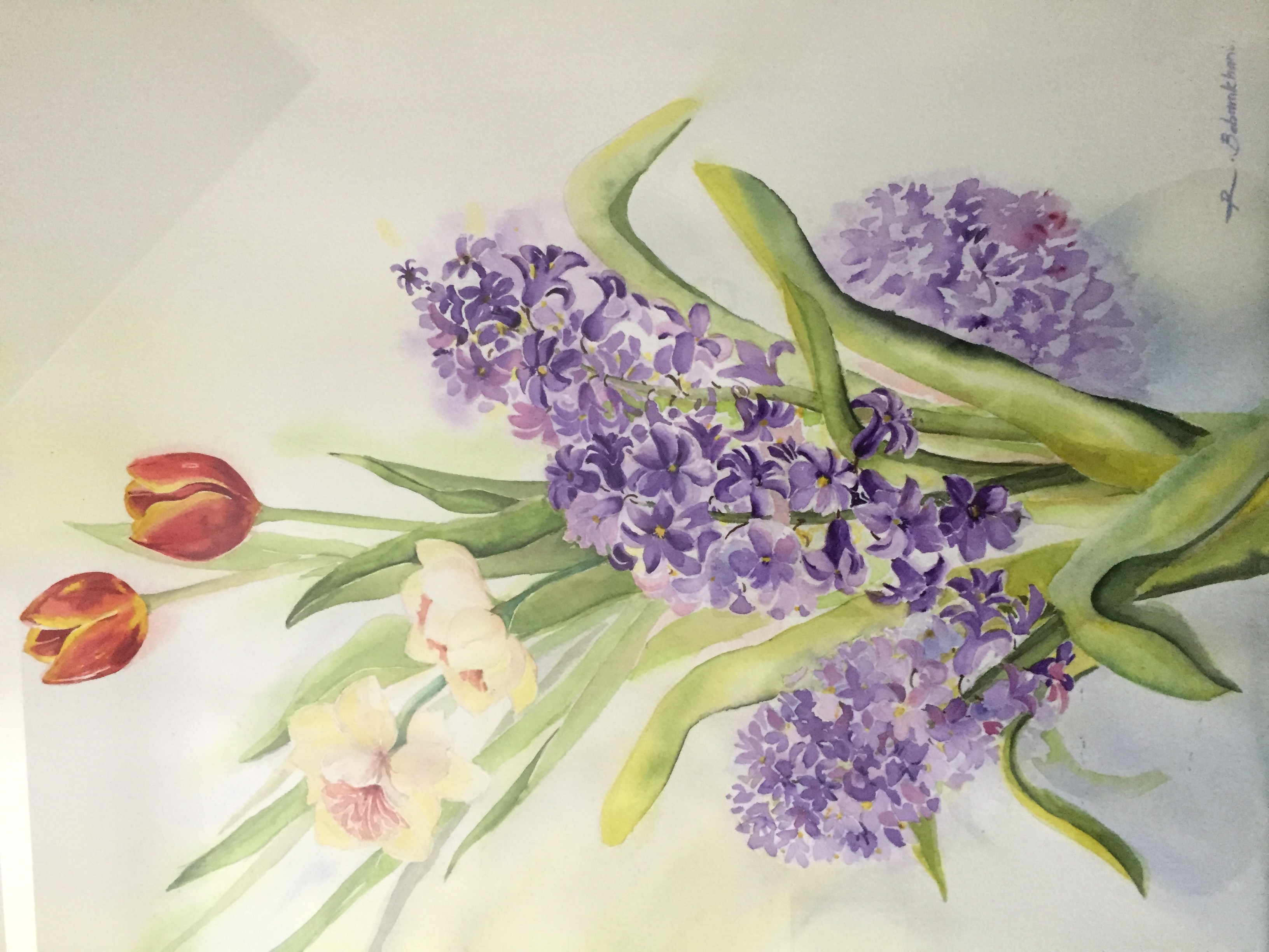 Spring Image-300$