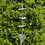 Thumbnail: Garden chain in blue with braided heart