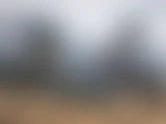 Downhill Bike Versus Enduro Bike