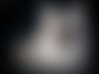 Meet Our Newest Lynx Town Star: Black Jaguar’s Wicklow Sky of Lynx Town