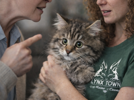 When “Concern” Turns Into Control: Ethics, Boundaries, and Responsibility in Breeding