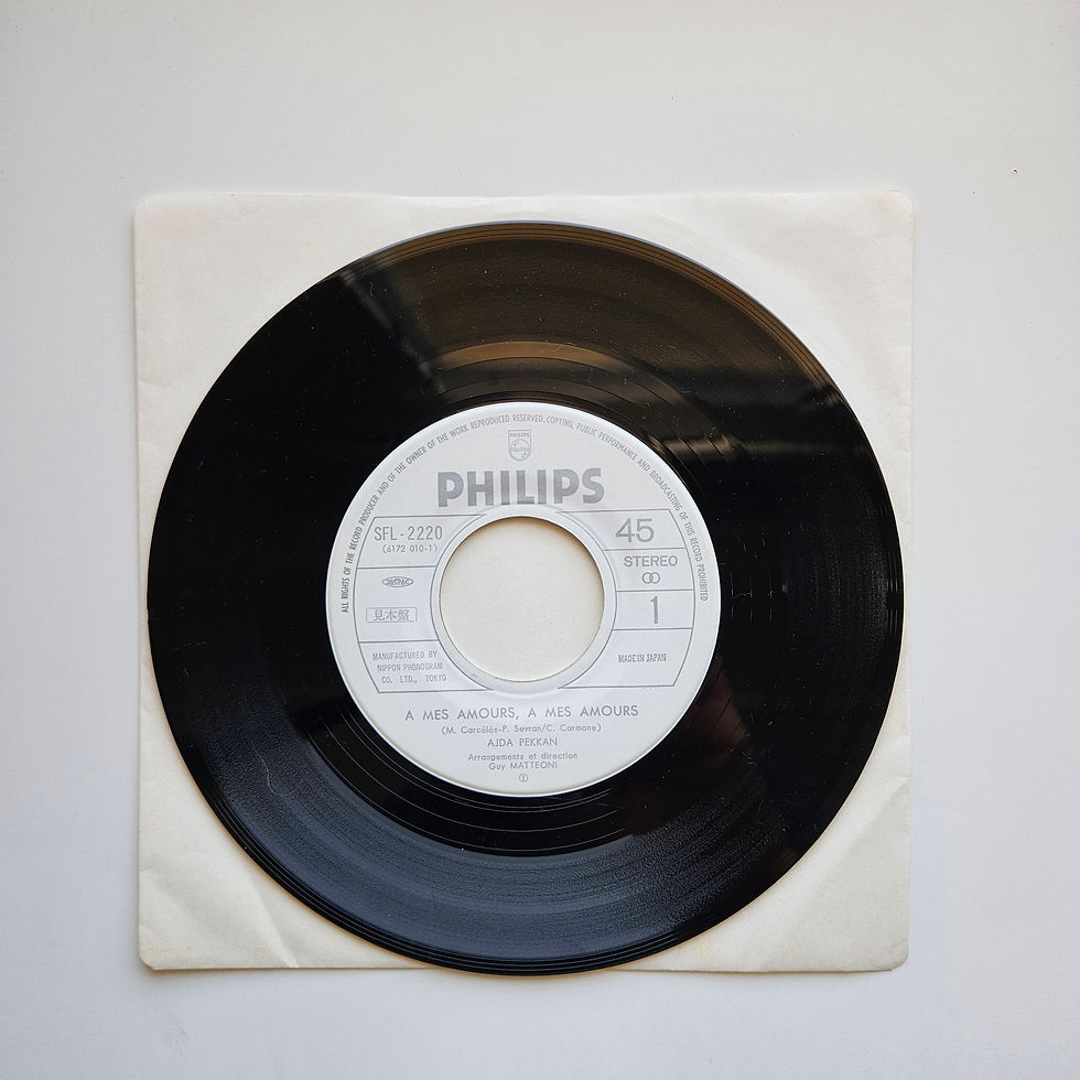 Küçük resim: Ajda Pekkan - A Mes Amours, A Mes Amours