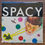 Thumbnail: Tatsuro Yamashita – Spacy 33'lük LP PLAK
