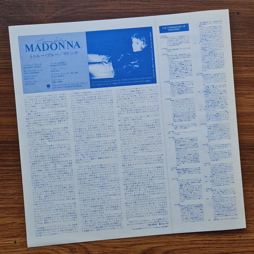 Küçük resim: Madonna - True Blue 33'lük LP PLAK