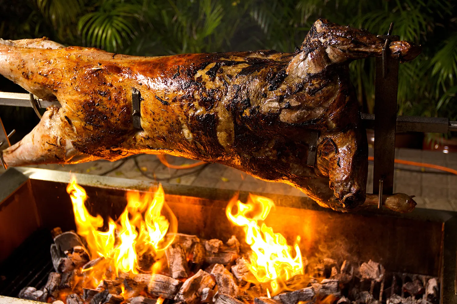WHOLE ROAST LAMB SPIT.webp