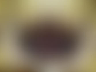 ✊La Libertad Avanza rechazó el aumento de las dietas en el Senado