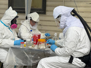 🐀Tierra del Fuego: Salud confirmó que la variante de hantavirus vinculada al crucero MV Hondius no circula en Ushuaia