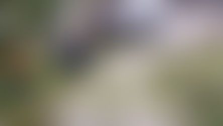 TEMPORAL EN USHUAIA: EL MUNICIPIO DESPLIEGA UN OPERATIVO INTEGRAL DE ACOMPAÑAMIENTO Y LIMPIEZA