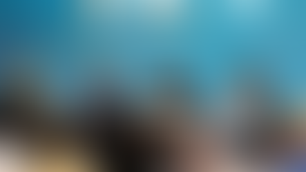 ✔Tierra del Fuego: Gobierno realizó el lanzamiento de TERRA IGNIS ENERGÍA S.A y se presentó el acuerdo con VELITEC S.A para explotación de hidrocarburos en la provincia