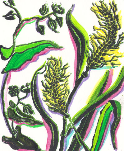 cover crop 2