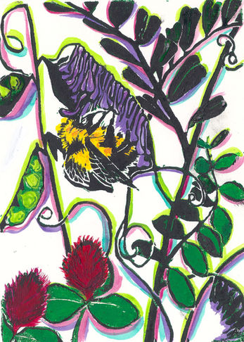 Cover crop 3