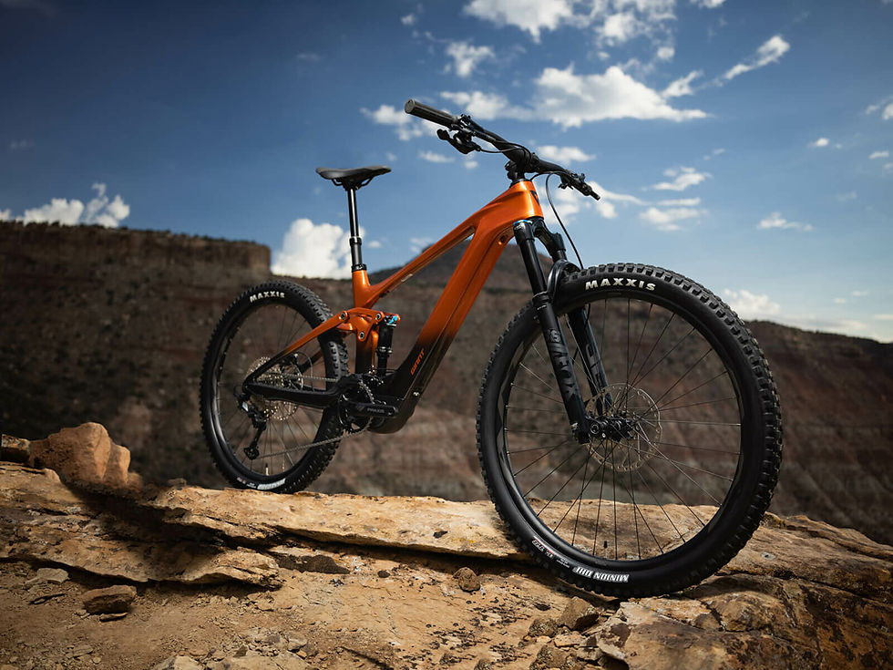 GIANT Trance X Advanced E+ Elite 2